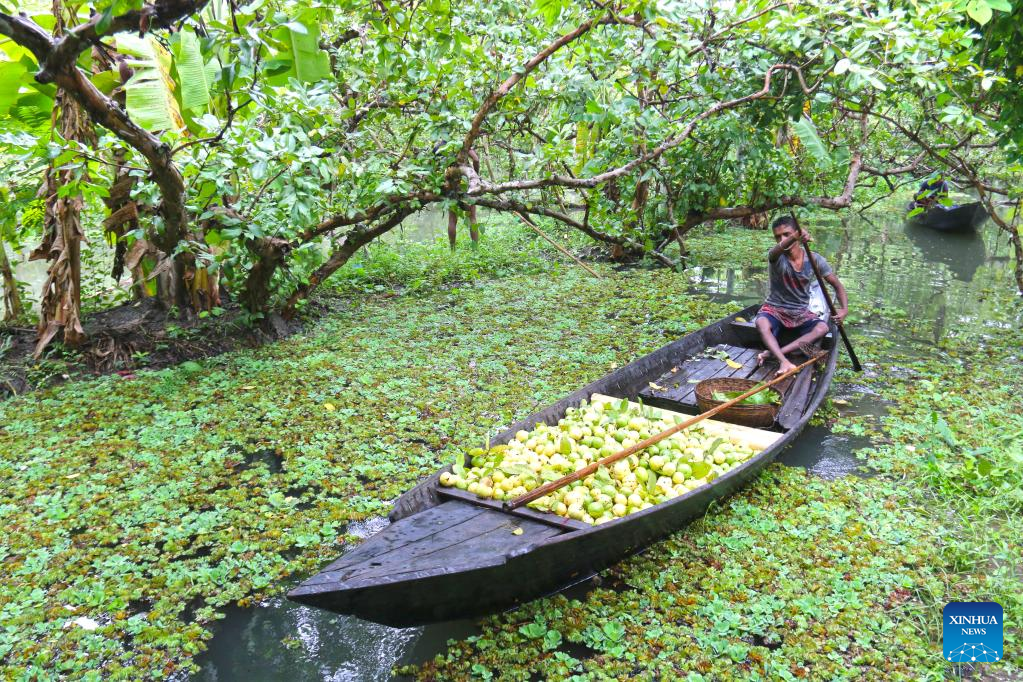 Bangladesh5