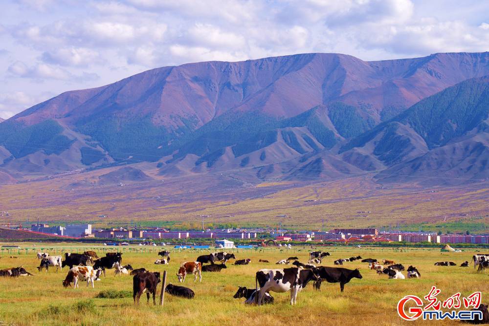 Xinjiang: What a fairyland!