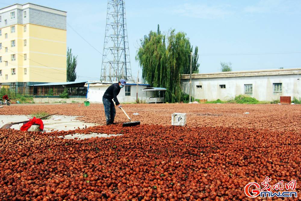 Xinjiang: What a fairyland!