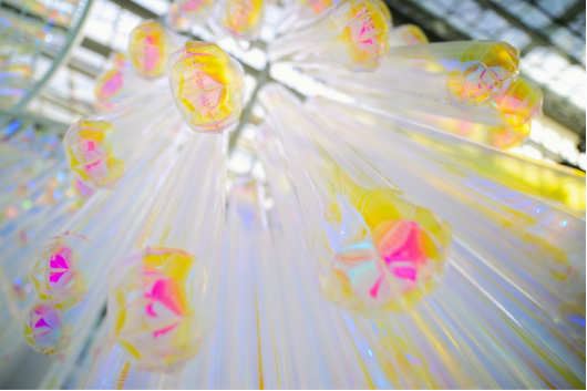 654b2ea7a3109068caff9a0e