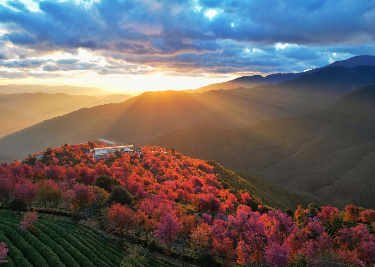 65de89a5a31082fc2b6941fb