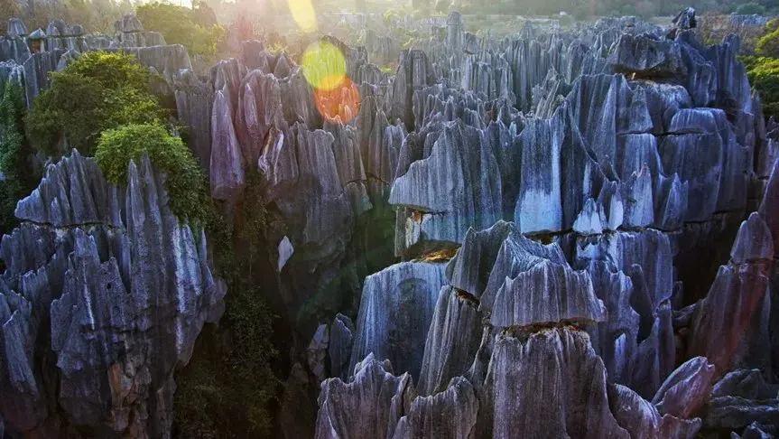 大自然的鬼斧神工-云南石林 云南省地方志编纂委员会办公室 供图(1)