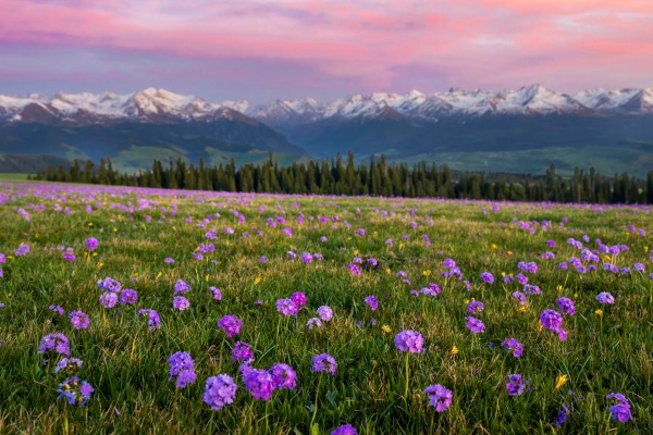 2025042896d24d8c11534ef58b342178de937833_XxjwshE007084_20250428_CBMFN0A001 2025042896d24d8c11534ef58b342178de937833_XxjwshE007084_20250428_CBMFN0A001