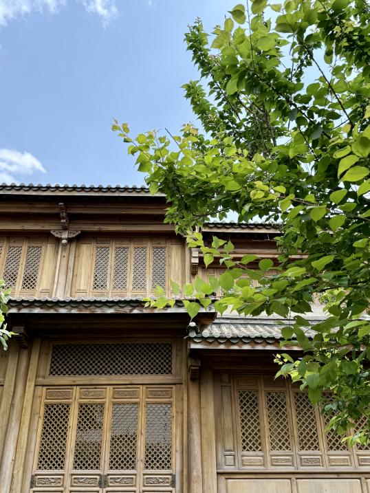 卧龙村1 卧龙村1