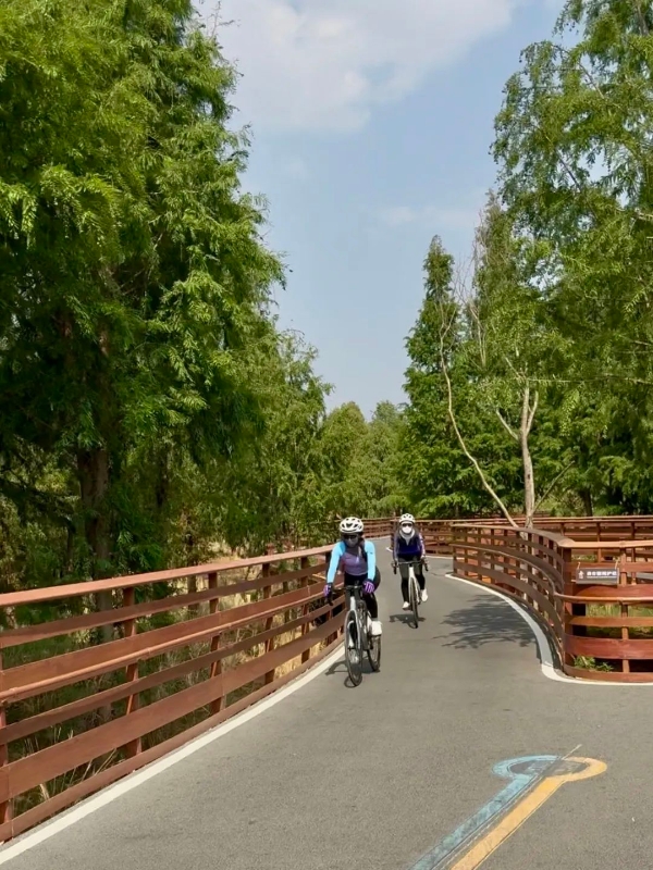 草之桥1 草之桥1