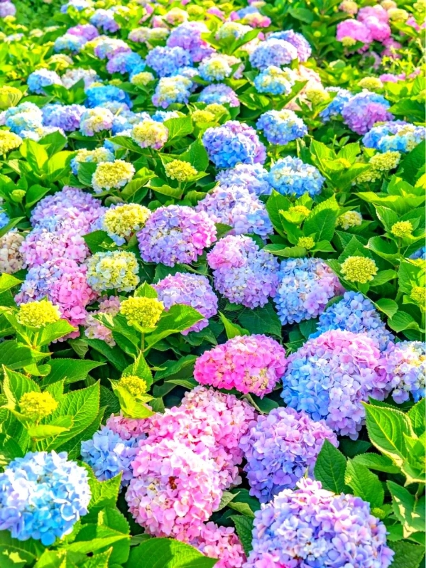 捞渔河4 捞渔河4