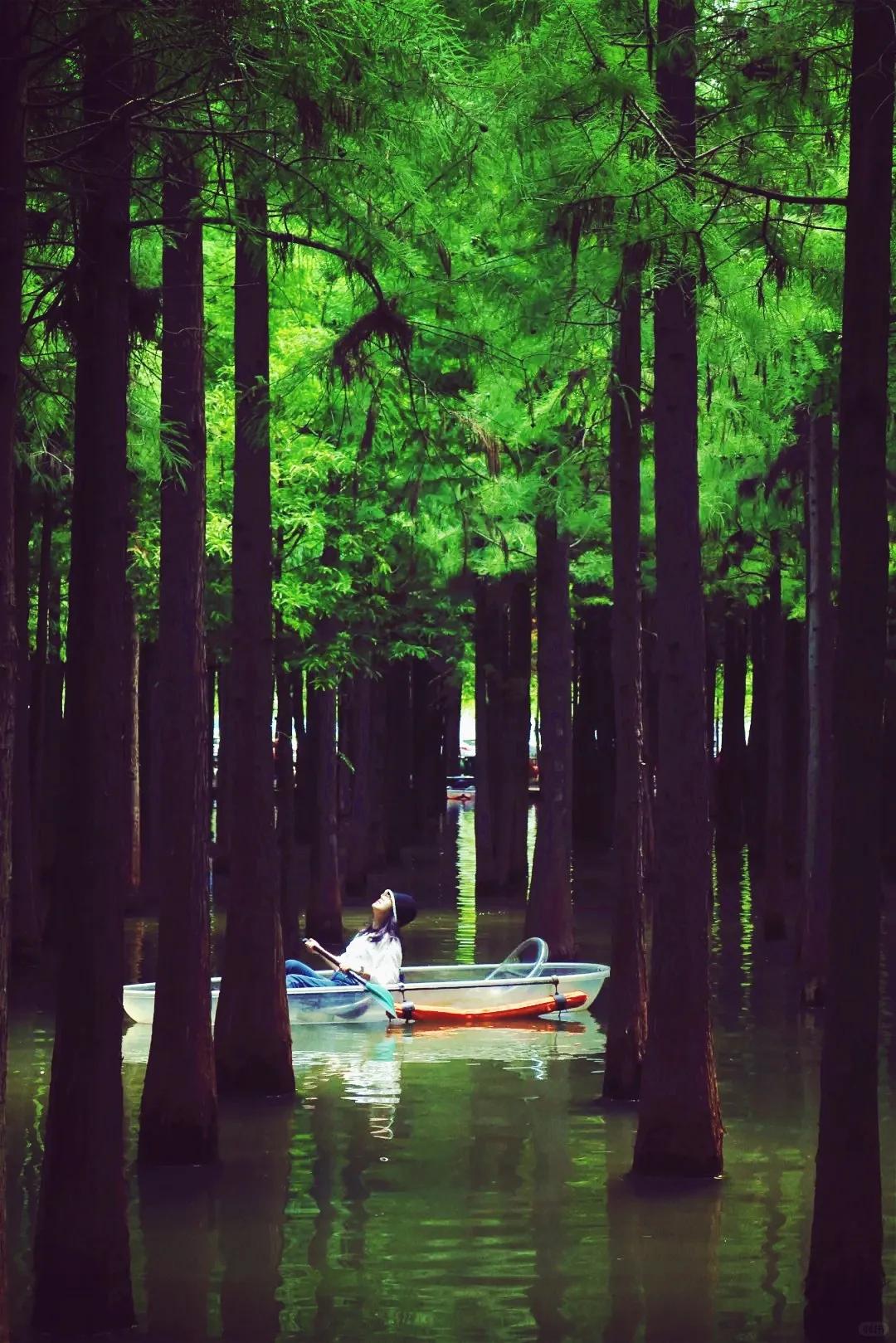 图源：小红书@BOOGUST(1)