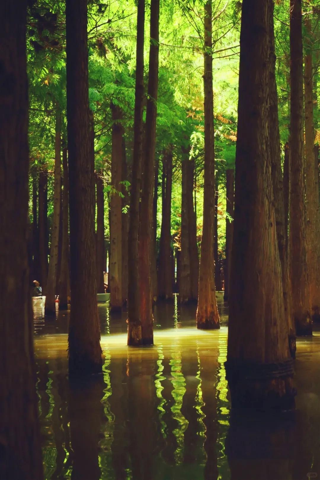 图源：小红书@BOOGUST3(1)