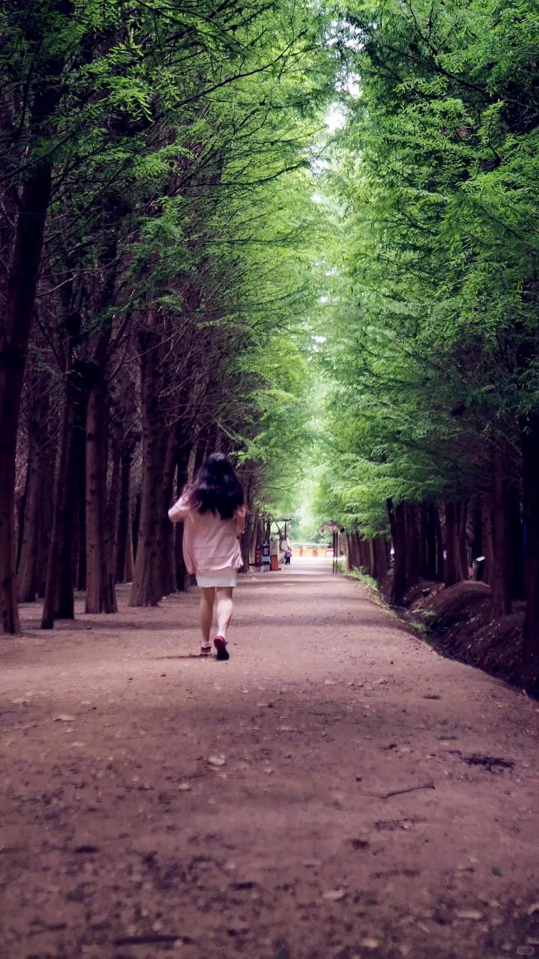 图源：小红书@灰狼叔叔的兔子屋1(1)