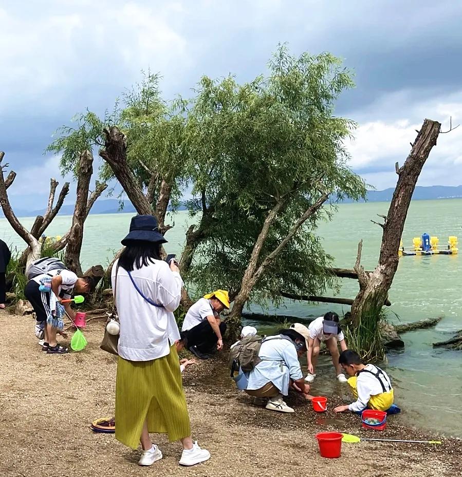 图源：小红书@灰狼叔叔的兔子屋2(1)