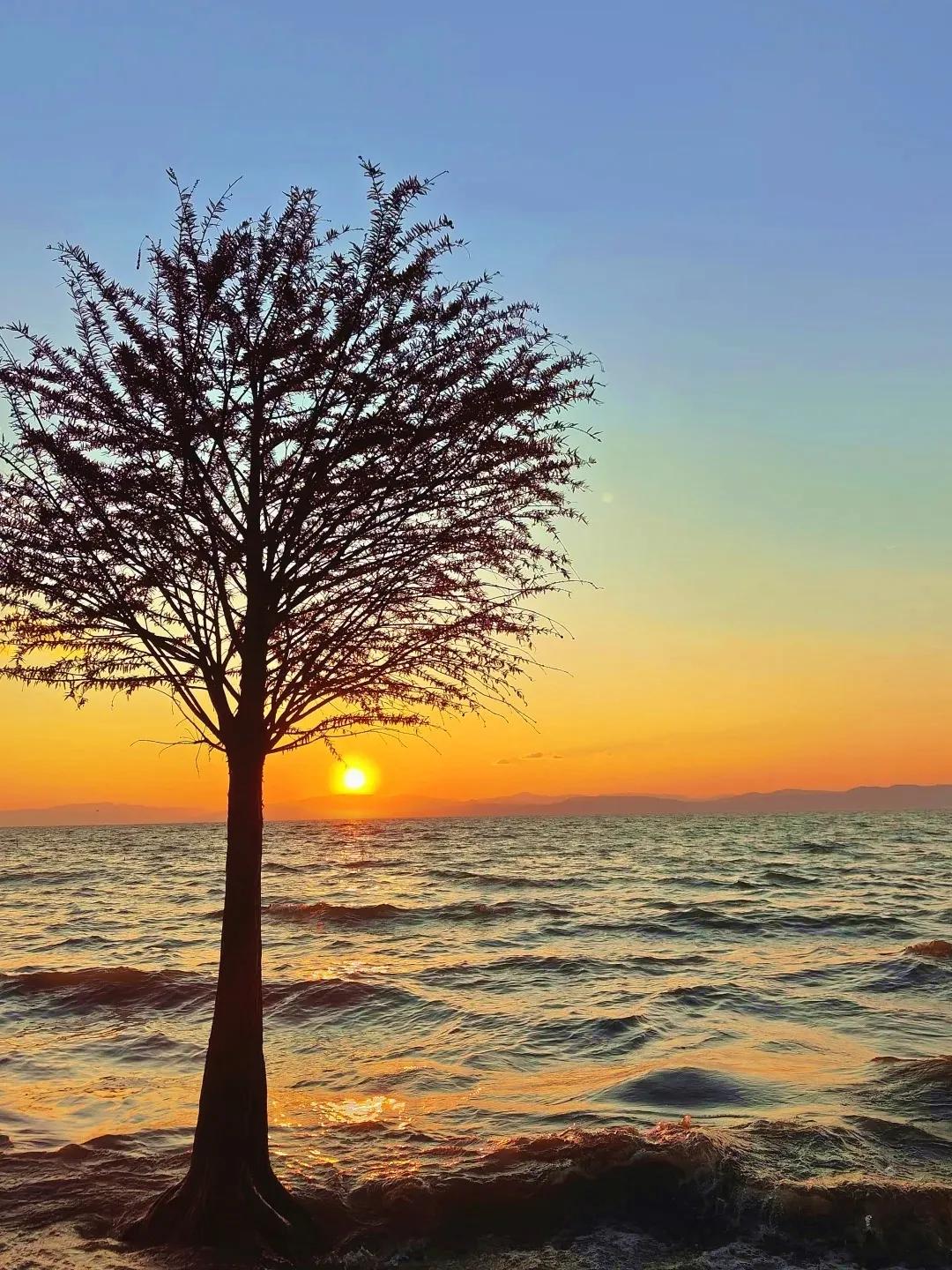 图源：小红书@C1(1)