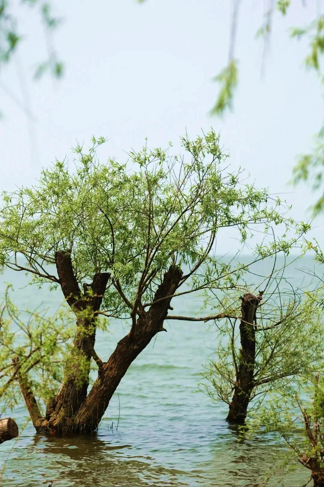 图源：小红书@伽瑞2(1)