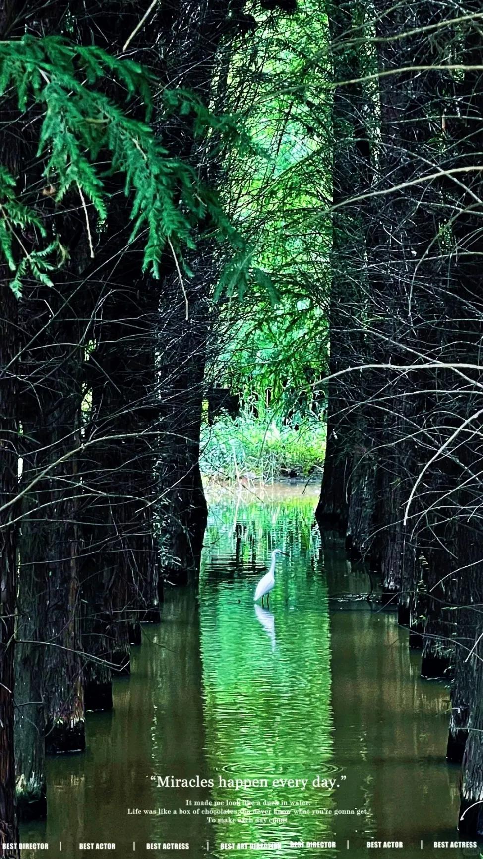 图源：小红书@灰狼叔叔的兔子屋(1)