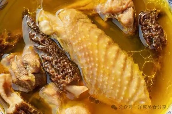 羊肚菌鸡汤 羊肚菌鸡汤