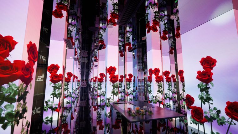 4e506dc42ea54aa2a555e414b4985b9a