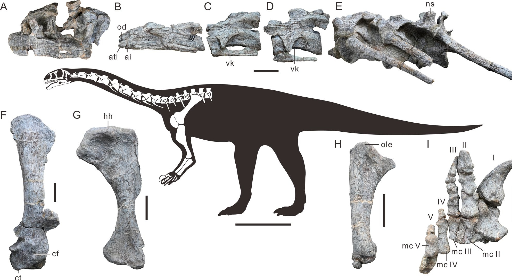 6892fabca3108a99cc1392d6