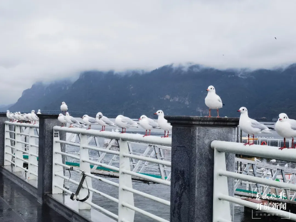 imageye___-_imgi_15_640