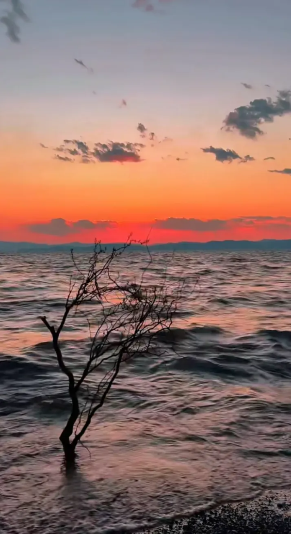 imageye___-_imgi_62_640