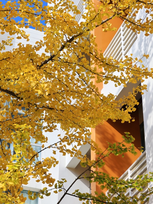 文林街2 无违旅行