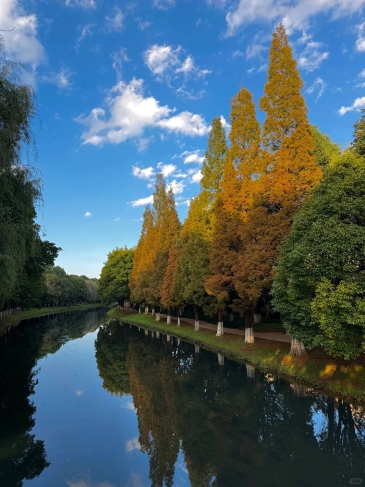 采莲河1 伙食团微服食访
