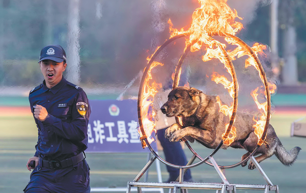 694de21ea310d68600f4cdb5