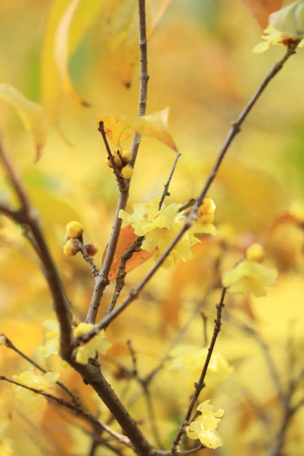 7e589f10506b4811859d25d75edd1563