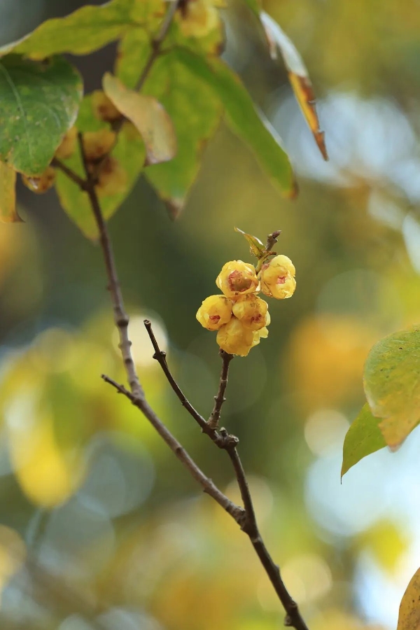 908dc507408141c392a4bb188b2957e1