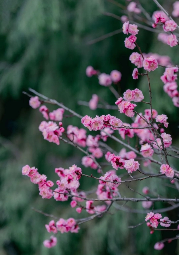 6a99a721ac0c45429dcc64e1b66e53a6