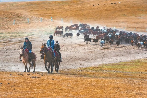 698c3f8fa310d68600f7d5ef 698c3f8fa310d68600f7d5ef