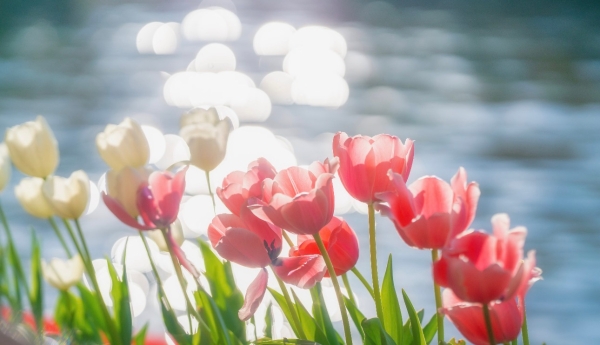 微信图片_20260324141452_11_193