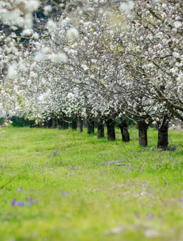 微信图片_20260324160306_31_193