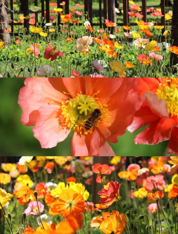 微信图片_20260324161325_34_193