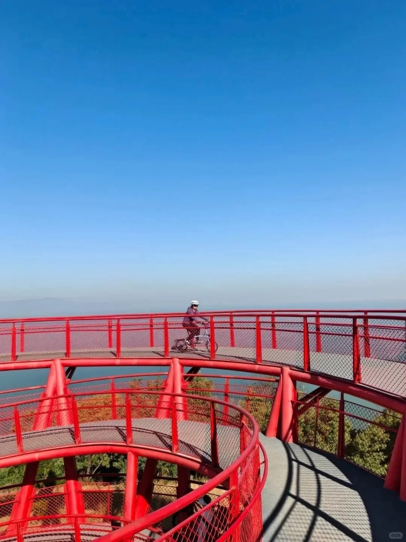图片 (1)