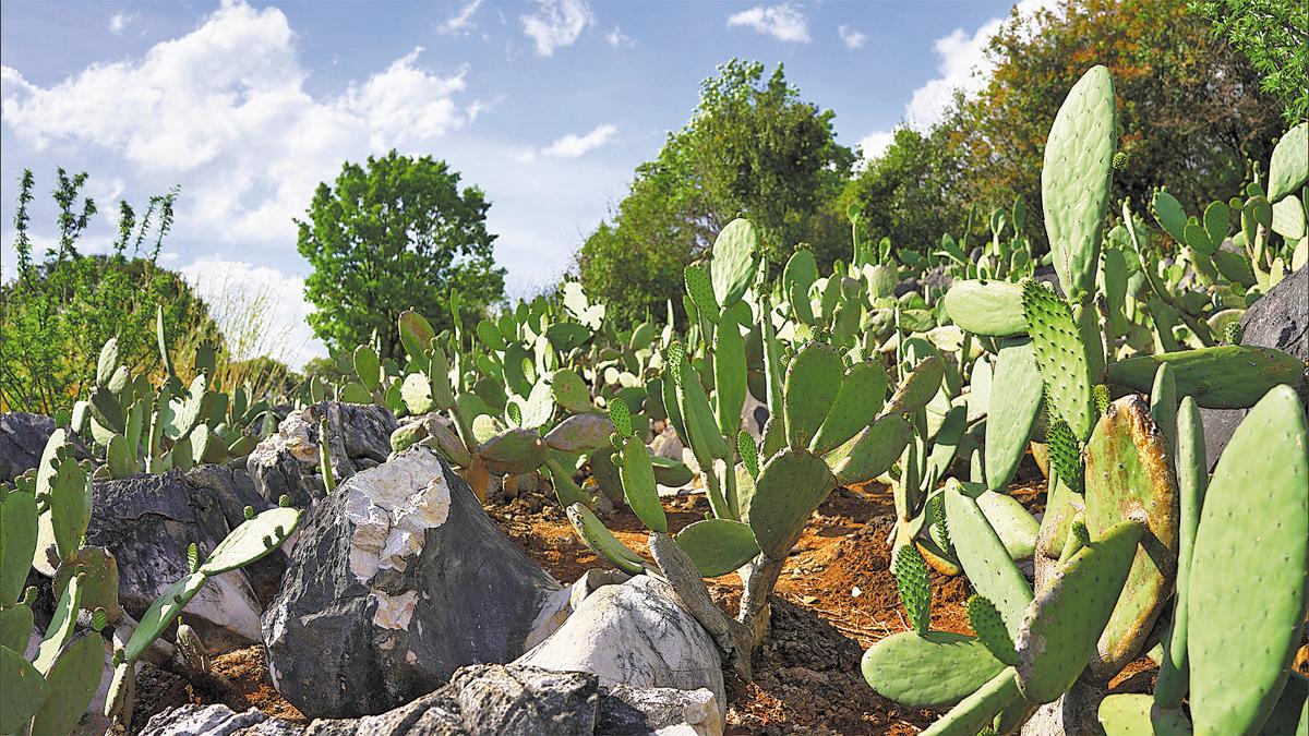 1 1