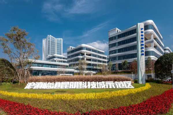 图片5 图片5