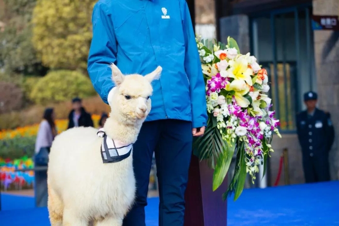 微信图片_20191223091100