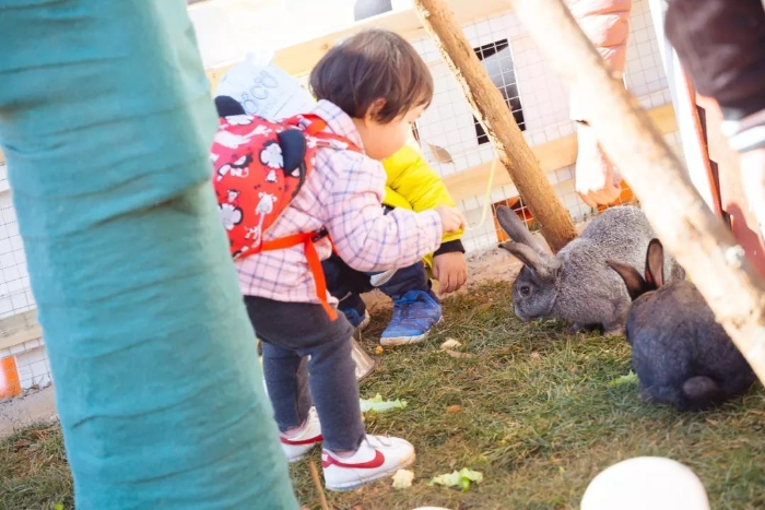 微信图片_20191223091119