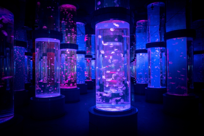 微信图片_20250425170627 微信图片_20250425170627