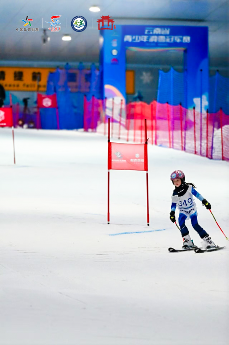 高山滑雪2 高山滑雪2