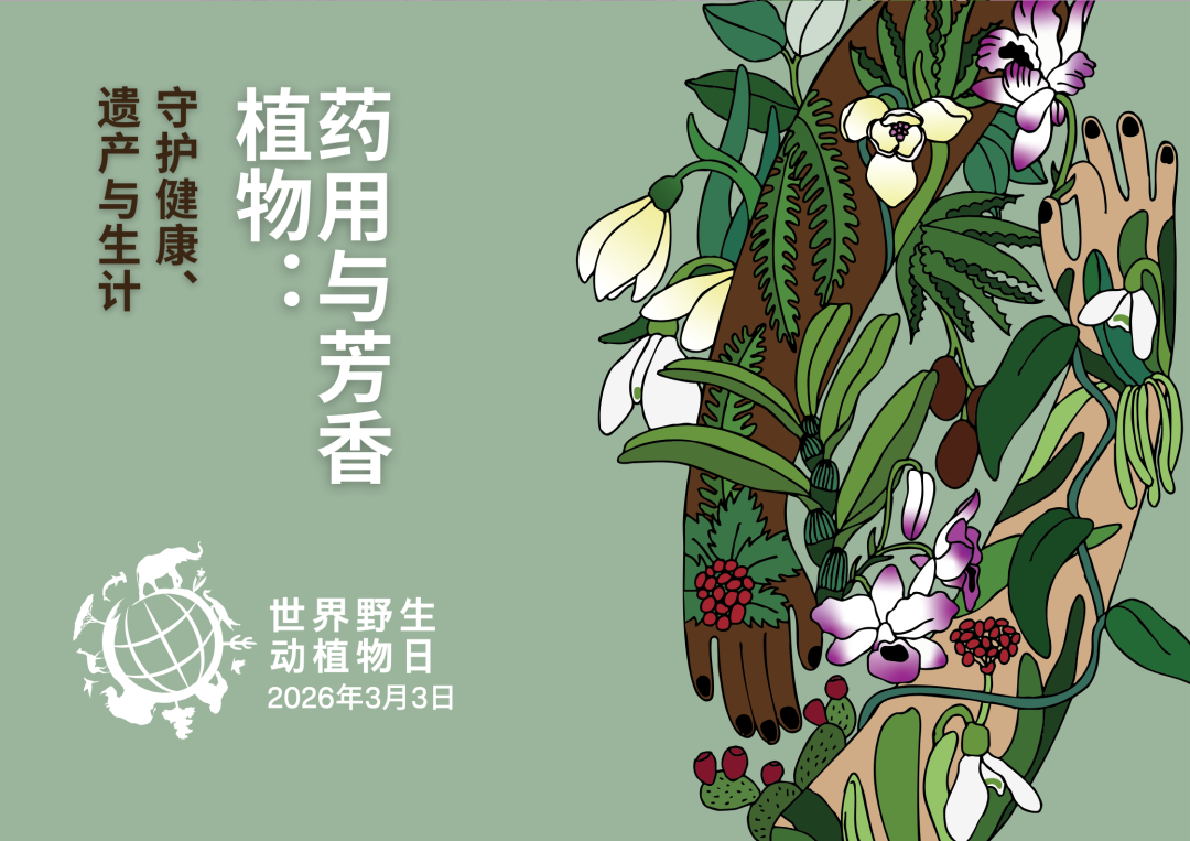 59711826612a2893088be38c62da90e5