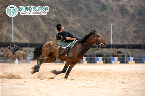 云南首部实景特效马术演艺秀《古滇风云》 (1)