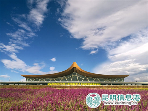 长水机场高科技让出行更方便 (4)