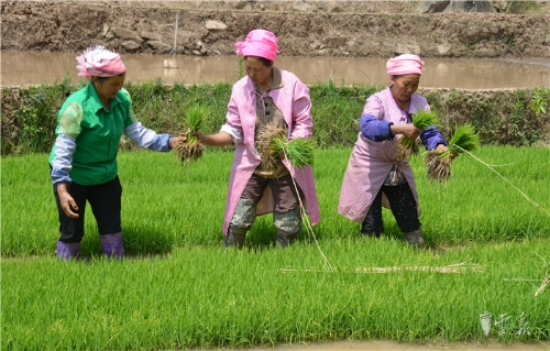 20180427175723CEDT6E 20180427175723CEDT6E