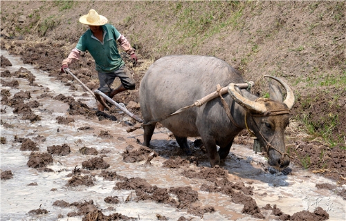 2018042717572590QUQ0 2018042717572590QUQ0