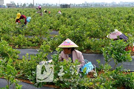 1_20180427212949579 1_20180427212949579