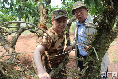 W020180502541653445653