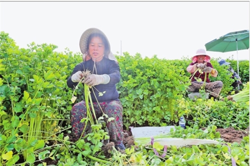 QQ截图20180508080927 QQ截图20180508080927