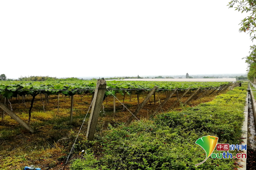 20180508_103913_028 20180508_103913_028