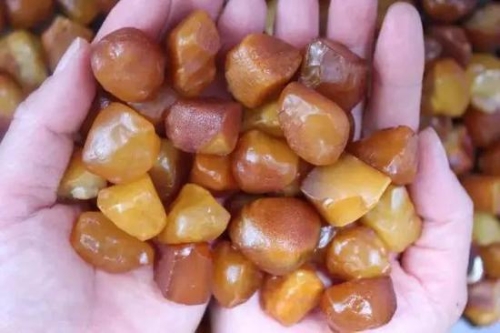 一块琥珀竟然推翻了恐龙灭绝的原因