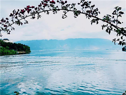 11_副本.jpg 11_副本.jpg